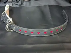 Petio 中型犬用 首輪 30のサムネイル