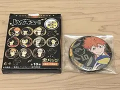 ハイキュー!! 缶バッジ 日向翔陽 全10種