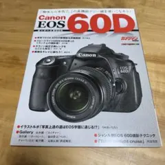 Item thumbnail for item e07a2cef-2543-4eff-b607-cff434e35b94