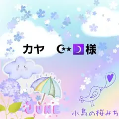 オーダー】☆紫陽花の妖精☆アマビエさん他 レジンキーホルダー計3点
