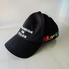 DREAMING IN COLOR キャップ 帽子　ディズニーリゾート　カラフル
