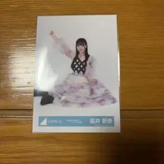 日向坂46 坂井新奈 生写真 6回目のひな誕祭ライブ衣装 4種コンプ