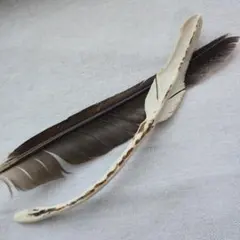 #羽箒 羽根箒 4点まとめ売り/鷹 鶴 野雁 白鳥 鳥羽 羽箒 羽根箒 4点まとめ売り/鷹 鶴 野雁 白鳥 鳥羽 | Mercari
