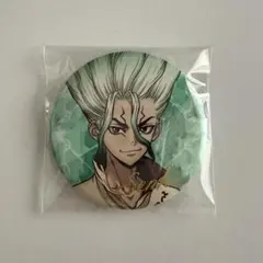 Dr.STONE 石神千空 缶バッジ スーツ - メルカリ