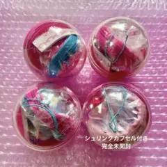 ディズニー ランド ミニー パルパルーザ ファンダーランド カプセルトイ コンプ