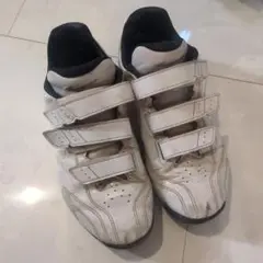 ミズノ トレーニングシューズ ホワイト ベルクロ