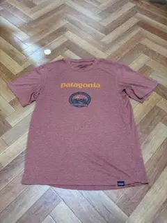 信越五岳 2019 メンズS patagonia Tシャツ
