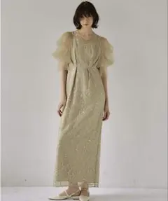 Tulle X Feather Ruffle Dress sheller - メルカリ