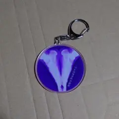 超特急 リョウガ レントゲン アクリルキーホルダー