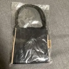 Item thumbnail for item 6448793e-de2e-411e-8714-2cd414668998