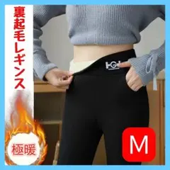 【冬物SALE★早い者勝ち】 極暖 裏起毛 レギンス M ハイウエスト 暖パン
