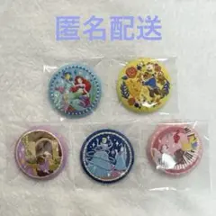 ディズニー　刺繍缶バッジ　アリエル　美女と野獣　ラプンツェル　シンデレラ　マリー