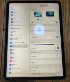 iPad Pro 11 (第3世代) 128GB M1 ジャンク