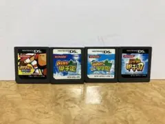 DS パワプロクンポケット13