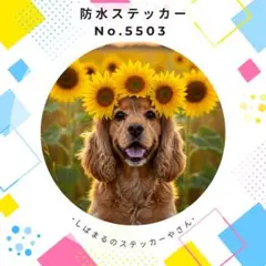 【送料無料❣️】アメリカンコッカースパニエル防水ステッカー ひまわり