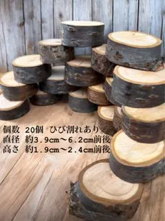 Item thumbnail for item 4a9e8442-0aa0-48f4-90a2-6869cc3f0629