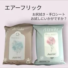 エアーフリック　お尻拭き　手口シート　外出　持ち運び　お試し２つセット
