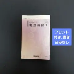 駿台】直前・東大プレ物理演習 2025/2026直前 再現答案分析付 森下寛之 