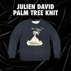 145Jジュリアンデイビッド Julien David パームツリー ニットのサムネイル