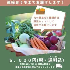 ❤️ご希望のお値段お聞かせください✨普段の感謝を込めた菜の花感謝祭SALE!!❤️ ❤️ご希望のお値段お聞かせください✨普段の感謝を込めた菜の花感謝祭