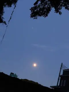 専用ページです