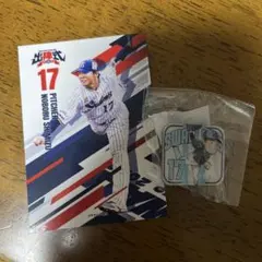 Item thumbnail for item e525c09c-aeb4-4a02-9c84-abed5da67818