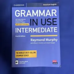 GRAMMER IN USE INTERMEDIATE