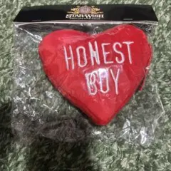 【未使用】HONEST BOY EXILE NAOTO パスケース