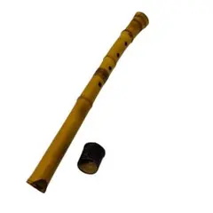 2026年最新】中古 尺八の人気アイテム - メルカリ