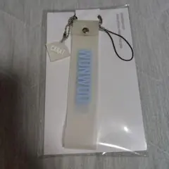 ☆SEVENTEEN HARE ペンライトストラップ ウォヌ