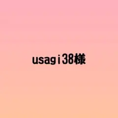 usagi38様