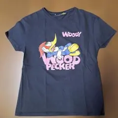 ZARA ウッドペッカー Tシャツ 165/80のサムネイル