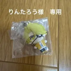りんたろう様　専用