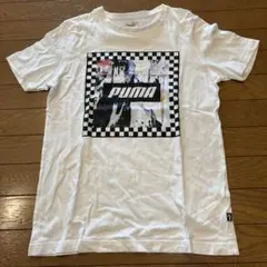 PUMA デザイン Tシャツ Mサイズ