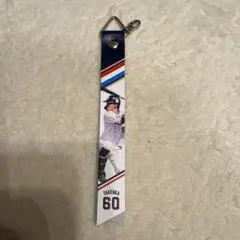 東京ヤクルトスワローズ　ボンフィン　武岡龍世