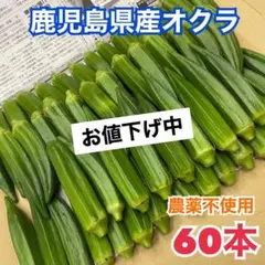AB品オクラ60本のサムネイル