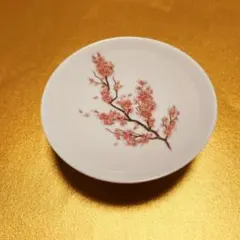 2025年最新】平盃の人気アイテム - メルカリ