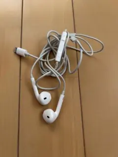 Apple イヤホン　ジャンク品　まとめ売り 2026年最新】Apple その他：ジャンク 有線イヤホンの人気アイテム