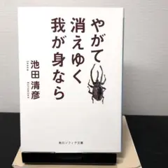 ハム様 リクエスト 2点 まとめ商品