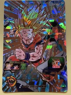 スーパードラゴンボールヒーローズ　孫悟飯少年期 BM12-sec3