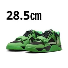 送料込★Travis Scott x Nike Cj1 T-Rexx 28.5㎝