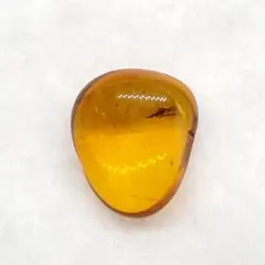 美品 虫入り 琥珀 化石 本物 バルト海産 ケース付 9.73mm ab252