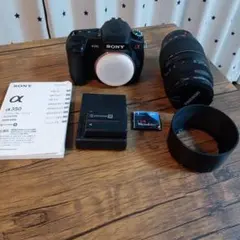 SONY α350 望遠レンズ（TAMRON A17）のサムネイル