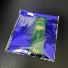 AGF 2025 ピオフィオーレの晩鐘 楊　リボン