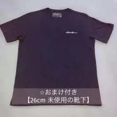 Eddie Bauer Ｔシャツ　Men's Ｍサイズ