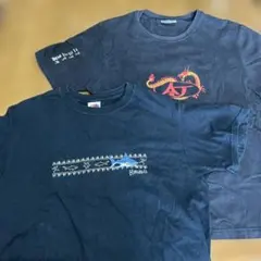 メンズ　Tシャツ 2枚セット