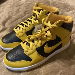 Nike Dunk Hi Retro PRM 10 (US) ウータンダンク