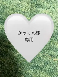 かっくん様専用