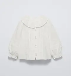 zara 刺繍　ブラウス　長袖　116