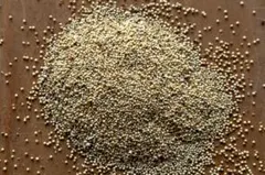 芽吹さま専用　白アマランサス　0.3 g